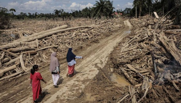 85,3 Persen Menyebutkan Banjir di Sumatra Disebabkan oleh Faktor Manusia