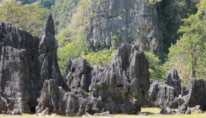 Pesawat ATR 400 Diperkirakan Hilang di Pegunungan Karst Leang-Leang Maros