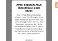 Keluhan Akun TikTok Diblokir Membuat Warganet Bingung