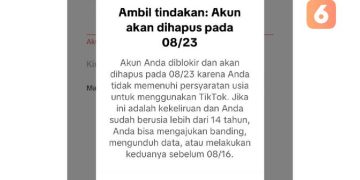 Keluhan Akun TikTok Diblokir Membuat Warganet Bingung