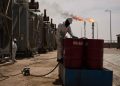 Ketahanan Energi Ditegaskan Sebagai Isu Strategis Nasional oleh Anggota DEN