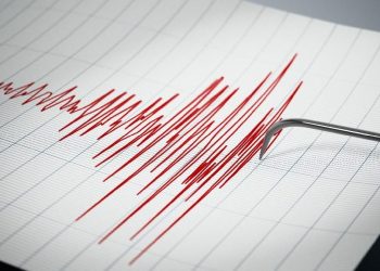 Gempa Magnitudo 6 Guncang Wanokaka NTT Terasa sampai Denpasar Bali