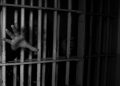 Tiga Anggota Polisi Medan Diduga Lecehkan Tahanan Perempuan