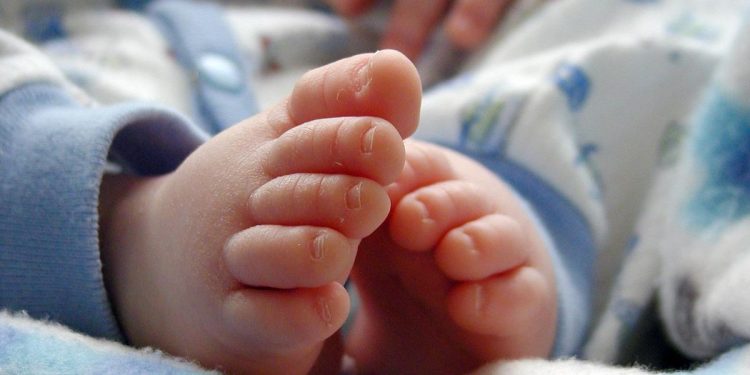 Polisi Evakuasi 11 Bayi dari Rumah Bidan di Sleman, 3 Dibawa ke Rumah Sakit