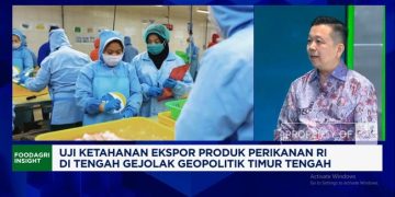 Strategi Eksportir Udang Untuk Menjamin Pembeli Dari AS Dan Eropa Di Saat Perang