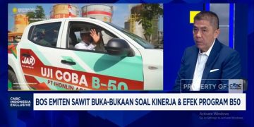 Prabowo Dukung B50 di Era Perang, Apakah Emiten Sawit Mendapatkan Manfaat?