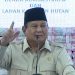 Banyak Investor Mengeluh Soal Perizinan, Prabowo Usul Bentuk Satgas Deregulasi