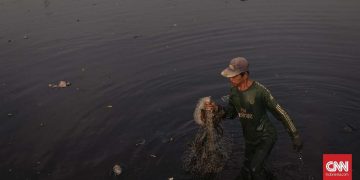 Sungai Ciujung Serang Tercemar Berwarna Hitam dan Bau Menyengat