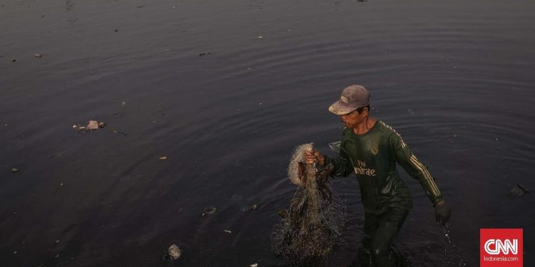Sungai Ciujung Serang Tercemar Berwarna Hitam dan Bau Menyengat
