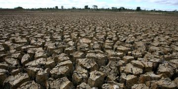 2.245 Warga di Jabar dan Jateng Terdampak Kekeringan Menurut BNPB