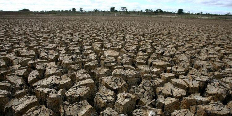 2.245 Warga di Jabar dan Jateng Terdampak Kekeringan Menurut BNPB