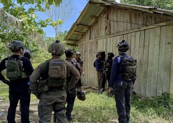 Satgas Damai Cartenz Tangkap Pemasok Senjata KKB di Papua Pegunungan