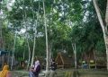 Pemanfaatan Hutan Berkelanjutan di Kaltim untuk Meningkatkan Nilai Ekonomi