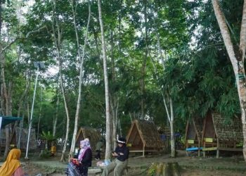 Pemanfaatan Hutan Berkelanjutan di Kaltim untuk Meningkatkan Nilai Ekonomi