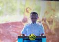Proyek Pembangunan Blok Masela Selesai 2029