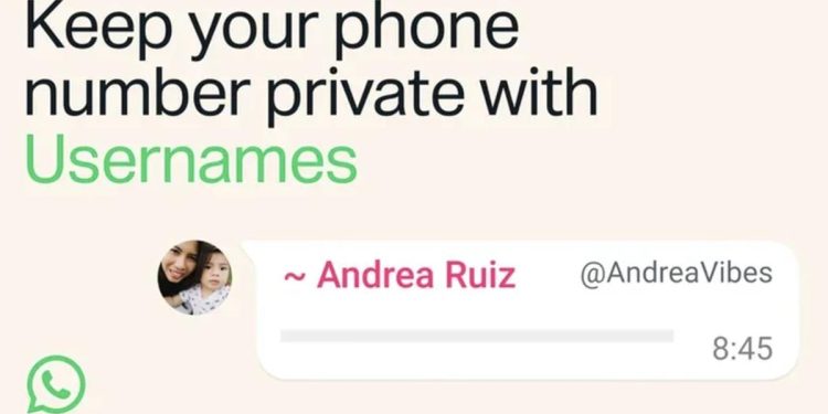 Cara Membuat Nama Pengguna WhatsApp Sebelum Dicopy Orang Lain