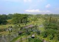 Green Living di BSD City Mewujudkan Kota Modern Berkelanjutan di Indonesia