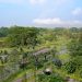 Green Living di BSD City Mewujudkan Kota Modern Berkelanjutan di Indonesia