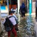 Banjir Rob Rendam Pesisir Surabaya dan Imbasnya pada Sekolah