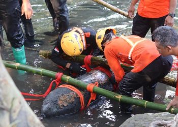 Bom Aktif 100 Kg Ditemukan di Blitar Diduga Peninggalan Perang Dunia