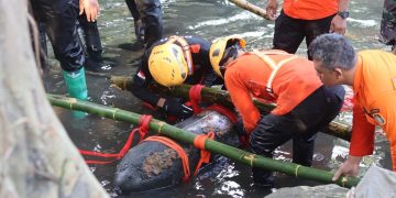 Bom Aktif 100 Kg Ditemukan di Blitar Diduga Peninggalan Perang Dunia