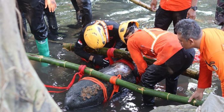 Bom Aktif 100 Kg Ditemukan di Blitar Diduga Peninggalan Perang Dunia