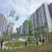 PPN DTP Rumah Susun Subsidi Disetujui, Harga Rusun MBR Lebih Terjangkau
