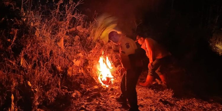 Kebakaran Terjadi di Tahura R Soerjo Mojokerto
