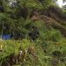 Penutupan Tambang Emas Ilegal di Hutan Produksi Terbatas Sulut, Dua Tersangka Diciduk
