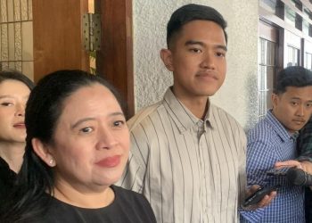 Dapil Neraka Kandang Banteng Terpancing oleh Kaesang