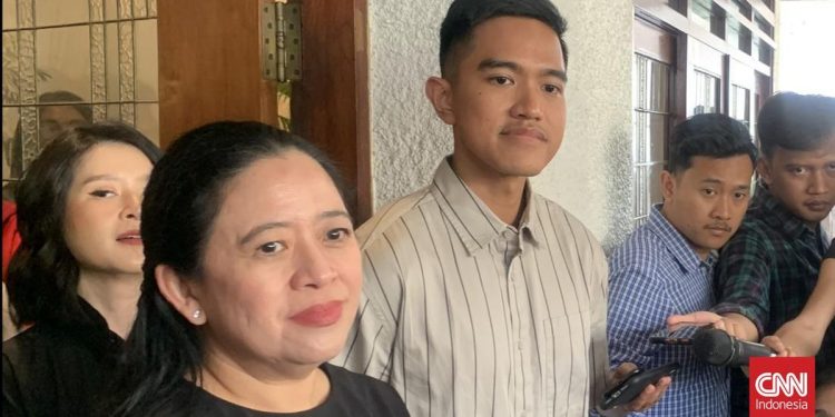 Dapil Neraka Kandang Banteng Terpancing oleh Kaesang