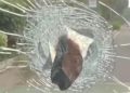 Pencurian Pecah Kaca di Jakbar Rugikan Rp1,2 M, Tiga Pelaku Ditangkap