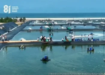 Pengembangan Tambak Udang Modern Terbesar di Indonesia oleh KKP