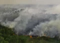 11.567 Personel dan 20 Ekskavator Atasi Kebakaran Hutan di Sumsel