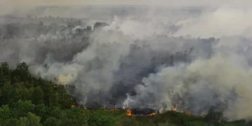 11.567 Personel dan 20 Ekskavator Atasi Kebakaran Hutan di Sumsel