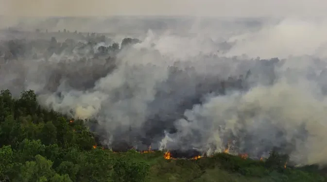 11.567 Personel dan 20 Ekskavator Atasi Kebakaran Hutan di Sumsel