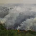 11.567 Personel dan 20 Ekskavator Atasi Kebakaran Hutan di Sumsel