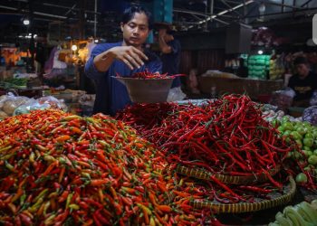 Harga Cabai Makin Tinggi di 3 Teratas
