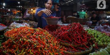 Harga Cabai Makin Tinggi di 3 Teratas