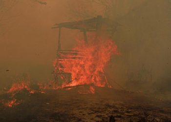 Catatan BPBD Hutan dan Lahan Terbakar di Kaltim Mencapai 936 Hektare