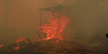 Catatan BPBD Hutan dan Lahan Terbakar di Kaltim Mencapai 936 Hektare
