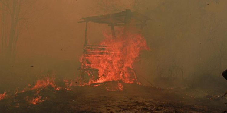 Catatan BPBD Hutan dan Lahan Terbakar di Kaltim Mencapai 936 Hektare