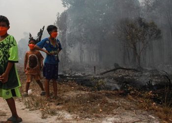298 Kasus di Palangka Raya Akibat Pembatalan Penerbangan
