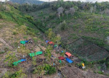 BMKG Catat 4258 Gempa Susulan di NTT Berpotensi Terus Hingga 4 Minggu