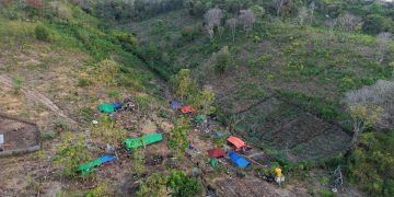 BMKG Catat 4258 Gempa Susulan di NTT Berpotensi Terus Hingga 4 Minggu