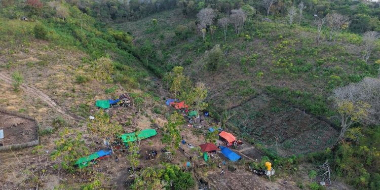 BMKG Catat 4258 Gempa Susulan di NTT Berpotensi Terus Hingga 4 Minggu