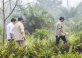 Prabowo ke Riau Tinjau Penanganan Karhutla di Sumatra