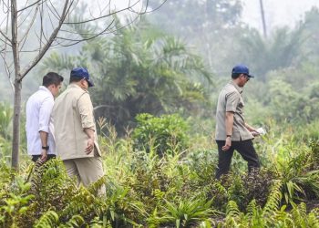 Prabowo ke Riau Tinjau Penanganan Karhutla di Sumatra