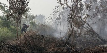 Kebakaran Lahan Kulon Progo, Api Terjadi di Bendungan Kamijoro