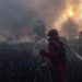 Kenaikan Hotspot Karhutla Kalsel Tambah Pasukan Darat dan Water Bombing